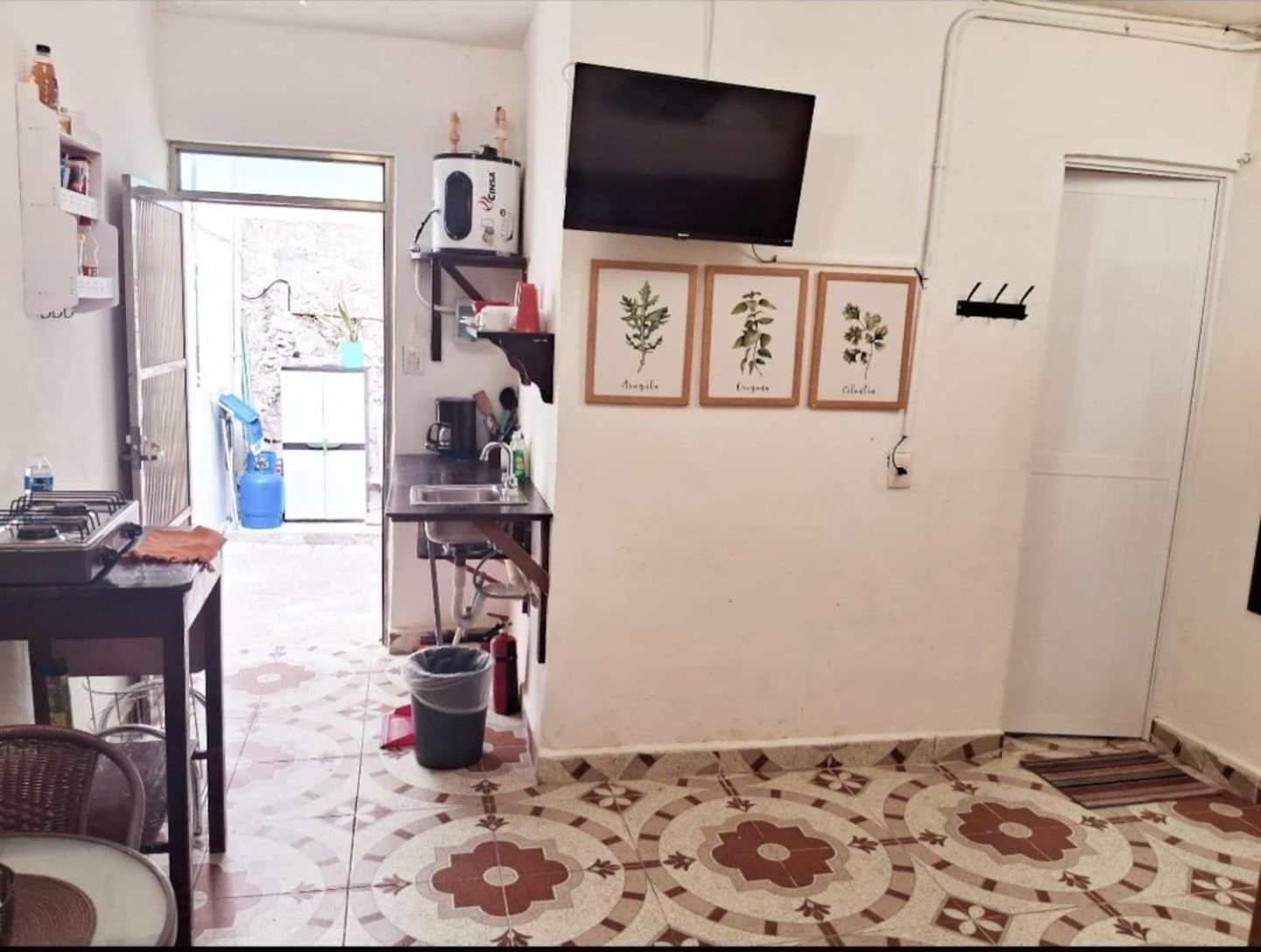 Cozy Studio Wkitchen Isla Mujeres Punta Norte Dış mekan fotoğraf